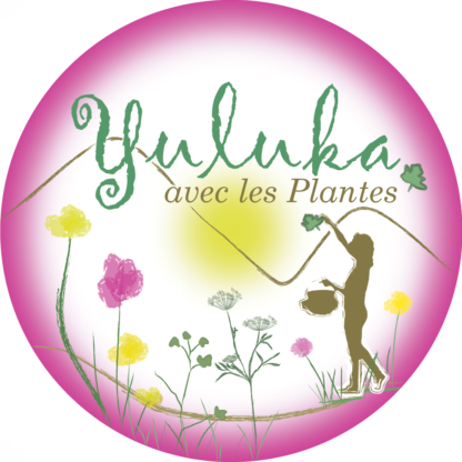 Etiquette - Macérat huileux de Pâquerettes - Yuluka, avec les Plantes