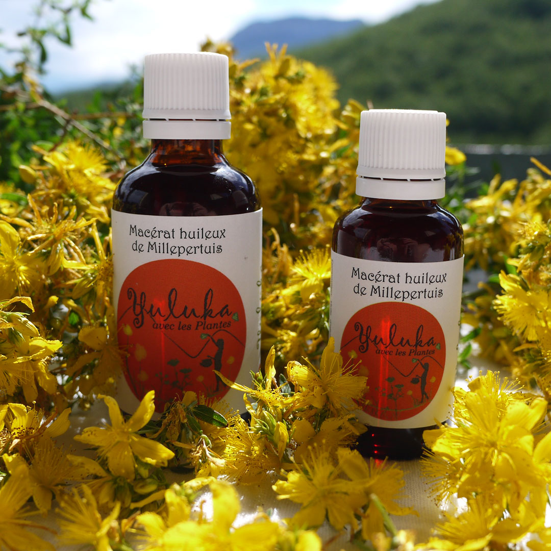 Macérat huileux de Millepertuis, huile de massage, par Yuluka