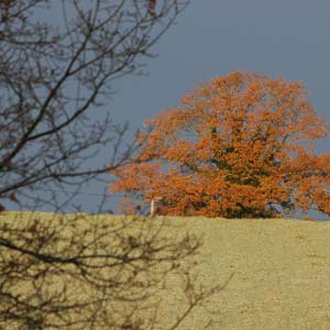 Atelier - L'automne